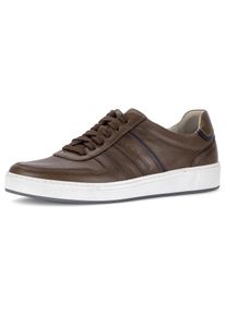 Sneaker Pius Gabor, Herren, Gr. 7 (40,5), cognacfarben, Nappaleder, Basic, Schuhe Sneaker, Freizeitschuh, Komfortschuh, Schn&uuml;rschuh mit Ziern&auml;hten, G-Weite
