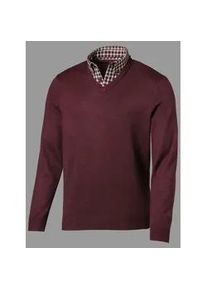 Classic Dog Strickpullover CLASSIC "Pullover", Damen, Gr. 46, rot (bordeaux), 100% Polyacryl, Kragen:100% Baumwolle, gemustert, unifarben, Pullover Strickpullover