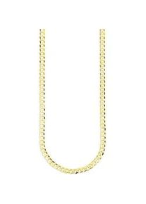 Kette ohne Anh&auml;nger Bruno Banani "Schmuck Geschenk Silber 925 Halsschmuck Halskette Panzerkette Gold" Gr. 55, gold (gelbgoldfarben), Halsketten, Herren, 55, Silber 925 (Sterlingsilber), B: 4,5mm, B:4,5mm