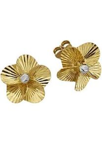 Paar Ohrstecker Firetti "Schmuck Geschenk Silber 925 Ohrschmuck Ohrringe Blume", silber (gelbgoldfarben, silberfarben), Ohrringe, Damen, 15mm, Silber 925 (Sterlingsilber)