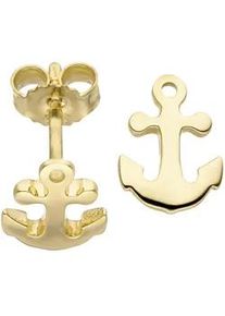 Paar Ohrstecker Jobo "Ohrringe mit Anker-Motiv", gelb (gelbgold 375), Ohrringe, Damen, Gelbgold 375, 375 Gold