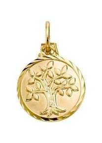 Kettenanh&auml;nger Firetti "Schmuck Geschenk Gold 333 Halsschmuck Anh&auml;nger Halskette Baum", gold (gelbgoldfarben), Schmuckanh&auml;nger, Damen, Gelbgold 333, 0,9 g, Kettenanh&auml;nger