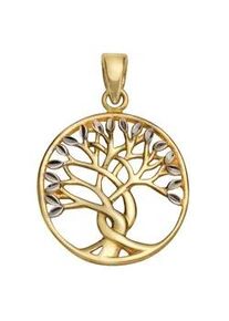 Kettenanh&auml;nger Firetti "Schmuck Geschenk Gold 375 Halsschmuck Anh&auml;nger Lebensbaum", gold (goldfarben, silberfarben), Schmuckanh&auml;nger, Damen, Gelbgold 375, 1,1 g, Kettenanh&auml;nger