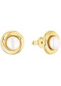 Paar Ohrstecker Amor "2013569", wei&szlig; (goldfarben,wei&szlig;), Ohrringe, Damen, Gelbgold 375 Perlen, Gelbgold 375, Perlen, mit S&uuml;&szlig;wasserzuchtperle