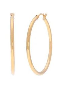 Paar Ohrstecker Lady, gold (gelbgold 375), Ohrringe, Damen