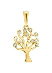 Kettenanh&auml;nger Amor "Lebensbaum", gold (gelbgoldfarben, kristallwei&szlig;, kristallwei&szlig;), Schmuckanh&auml;nger, Damen, Gelbgold 375, 0,52 g, Kettenanh&auml;nger, mit Zirkonia (synth.)