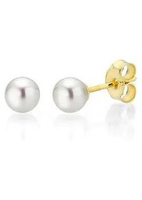 Paar Ohrstecker Firetti "Schmuck Geschenk Gold 375 Ohrschmuck Perle verschiedene Gr&ouml;&szlig;en" Gr. 3, gold (gelbgoldfarben, wei&szlig;), Ohrringe, Damen, 3, Gelbgold 375 Perlen, Gelbgold 375, Perlen, Made in Germany - mit S&uuml;&szlig;wasserzuchtperle