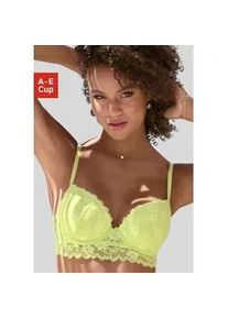 Push-up-BH Vivance "Julia", Damen, Gr. 90, Cup C, gr&uuml;n (lime), Spitze, Obermaterial: 60% Polyamid, 35% Polyester, 5% Elasthan, BHs Push-up-BH, aus Jacquardspitze in leichter Longform, sexy Dessous