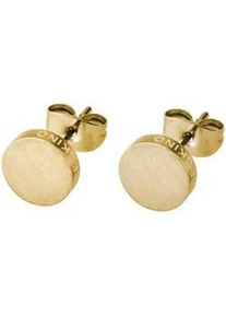 Paar Ohrstecker Liebeskind Berlin "Schmuck Geschenk Edelstahl Ohrringe Kreis", gold (gelbgoldfarben), Ohrringe, Damen, 7mm, Edelstahl