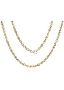 Goldkette Firetti "Schmuck Geschenk Gold 585, Singapur, ca. 3,6 mm breit" Gr. 50, gold (gelbgoldfarben), Halsketten, Damen, 50, Gelbgold 585, B: 3,6mm, Goldkette, B:3,6mm