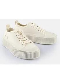 Sneaker Buffalo "MADISON", Damen, Gr. 40, beige (creme), Textil, Schuhe Sneaker, Freizeitsneaker, Halbschuh, Schn&uuml;rschuh mit Memory Foam Fu&szlig;bett