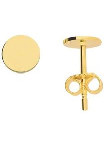 Adelia&acute;s Paar Ohrh&auml;nger ADELIA ́S "Damen 333 Gold Ohrringe Ohrstecker &Oslash; 5,9 mm", gold, Ohrringe, Damen, Damen, Gold, f&uuml;r Damen