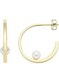 Paar Creolen Leonardo "Ohrringe Lucinda", gold (gelbgoldfarben, wei&szlig;), Ohrringe, Damen, 6mm, Edelstahl Perlen, Edelstahl, Perlen, mit Perle (imitiert)