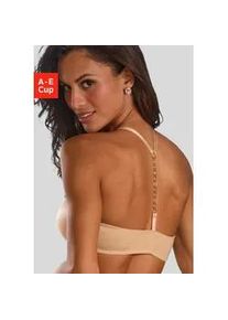 Push-up-BH JETTE, Damen, Gr. 80, Cup B, braun (toffee), Microtouch, Obermaterial: 60% Polyamid, 35% Polyester, 5% Elasthan, BHs Push-up-BH, mit B&uuml;gel und edlem Kettendetail hinten, sexy Dessous