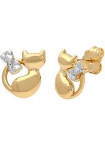 Paar Ohrstecker Lady, gold (gelbgold 375), Ohrringe, Damen