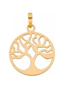 Adelia&acute;s Kettenanh&auml;nger ADELIA ́S "Damen 333 Gold Anh&auml;nger Lebensbaum &Oslash; 20,2 mm", gold, Schmuckanh&auml;nger, Damen, Gold, Kettenanh&auml;nger, f&uuml;r Damen