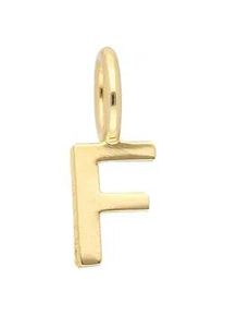 Adelia&acute;s Buchstabenanh&auml;nger ADELIA ́S "Damen & Herren 333 Gold Buchstabenanh&auml;nger F", gold, Schmuckanh&auml;nger, Damen, Gelbgold 333 Gold, Gelbgold 333, Gold, f&uuml;r Damen & Herren