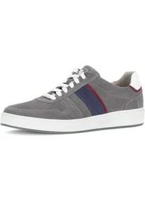 Sneaker PIUS Gabor, Herren, Gr. 10 (44,5), grau (grau kombiniert), Veloursleder, Schuhe Sneaker, Freizeitschuh, Halbschuh, Schn&uuml;rer mit Kontrastbes&auml;tze, Weite G