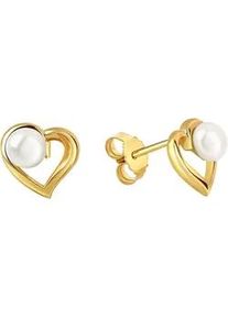 Paar Ohrstecker Vivance "925/- Sterling Silber vergoldet S&uuml;&szlig;wasserperle", gelb (gelb, wei&szlig;), Ohrringe, Damen, one-size, Silber 925 (Sterlingsilber)