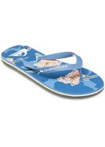 Sandale Quiksilver "Molokai Art 25", Herren, Gr. 10 (43), blau (coronet blau backyards), Obermaterial:Obermaterial: Synthetik / Laufsohle: Moosgummi;, Schuhe Sandale