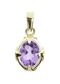 Kettenanh&auml;nger OSTSEE-SCHMUCK "OSTSEE-SCHMUCK Anh&auml;nger Winola 9x7 Anh&auml;nger Winola 9x7", gelb, Schmuckanh&auml;nger, Damen, 21 x 11mm, Gelbgold 333, 1,8 g, Kettenanh&auml;nger