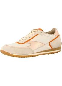 Sneaker Paul Green "Paul Green Sneaker Leder", Damen, Gr. 39, beige (beige, wei&szlig;), Leder, Schuhe Sneaker