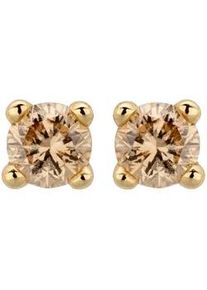 Paar Ohrstecker OROLINO "585/- Gelbgold glanz 2 Brill. 0,10ct. braun", gelb, braun, Ohrringe, Damen, one-size, 0,1, Gold