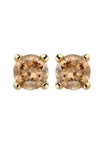 Paar Ohrstecker OROLINO "585/- Gelbgold 2 Brill. 0,25 ct. braun", gelb, braun, Ohrringe, Damen, one-size, 0,25, Gold
