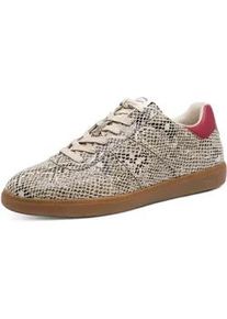 Sneaker Tamaris, Damen, Gr. 37, beige snake, Lederimitat, Textil, Reptilienpr&auml;gung, Schuhe Sneaker, Freizeitschuh, Halbschuh, Schn&uuml;rschuh mit gepolstertem Schaftrand