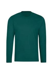 T-Shirt TRIGEMA "TRIGEMA Langarmshirt aus 100% Baumwolle", Damen, Gr. L, efeu, Single Jersey, 100% Baumwolle, Basic, lang, Rundhals, Shirts T-Shirt
