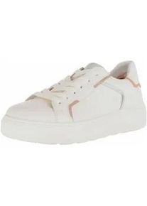 Sneaker Gabor "Gabor Sneaker Leder", Damen, Gr. 40,5, puder, Leder, Schuhe Sneaker