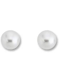 Paar Ohrh&auml;nger ONE ELEMENT "Ohrringe Ohrstecker aus 333 Gelbgold", gold, Ohrringe, Damen, Damen, Gelbgold 333 Gold Perlen, Gelbgold 333, Gold, Perlen, Pers&ouml;nlicher Akzent &ndash; schlicht, modern, aussagekr&auml;ftig