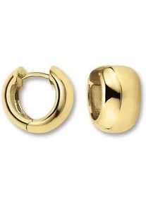 Paar Creolen ONE ELEMENT "Ohrringe Creolen aus 333 Gelbgold &Oslash; 13,5 x 8,0 mm", gold, Ohrringe, Damen, Damen, Gelbgold 333 Gold, Gelbgold 333, Gold, Fein gearbeitet &ndash; angenehm zu tragen und vielseitig kombinierbar