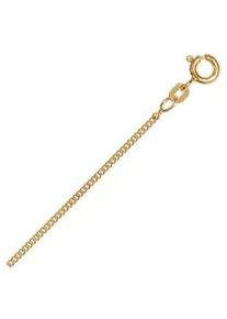 Goldkette ONE ELEMENT "Halskette Panzerkette aus 333 Gelbgold &Oslash; 1,4 mm" Gr. 50, gold, Halsketten, Damen, 50, Gelbgold 333 Gold, Gelbgold 333, Gold, Goldkette, Klassisch & stilvoll &ndash; ein Begleiter f&uuml;r viele Anl&auml;sse