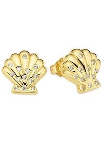 Paar Ohrstecker "Silberohrstecker Muschel-Optik gelbgoldfarben vergoldet", gelbgoldfarben, kristallwei&szlig;, kristallwei&szlig;, ANISTON JEWELRY & WATCHES, Ohrringe, Damen, Silber 925 (Sterlingsilber), mit Zirkonia (synth.)