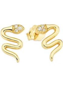 Paar Ohrstecker "Silberohrstecker Schlangen-Design gelbgoldfarben vergoldet", gelbgoldfarben, kristallwei&szlig;, kristallwei&szlig;, ANISTON JEWELRY & WATCHES, Ohrringe, Damen, Silber 925 (Sterlingsilber), mit Zirkonia (synth.)