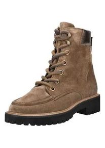 Schn&uuml;rstiefelette Paul Green "Paul Green Stiefelette Veloursleder", Damen, Gr. 39, erde, Veloursleder, Schuhe Schn&uuml;rstiefelette