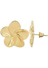 Adelia&acute;s Paar Ohrh&auml;nger ADELIA ́S "Damen Ohrringe &ndash; Ohrstecker aus Edelstahl", Damen, Gr. Damen, Edelstahl, gold, Ohrringe, Ideal als Geschenk f&uuml;r besondere Anl&auml;sse