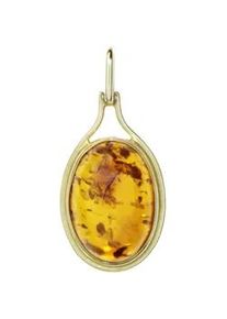 Kettenanh&auml;nger OSTSEE-SCHMUCK "- Marga - Gold 333/000 - Bernstein" Gr. 25, gold (gold 333, goldfarben, gelb), Schmuckanh&auml;nger, Damen, Gelbgold 333, Kettenanh&auml;nger