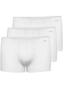 Retro Boxer Ammann "3er Pack Retro Short Day Modern / Cotton & More", Herren, Gr. 8, wei&szlig;, Satin, Obermaterial: 57% Modal CMD. 35% Baumwolle CO. 8% Elasthan EL., Unterhosen