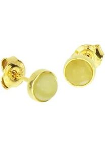 Paar Ohrstecker OSTSEE-SCHMUCK "- Classic 5 mm - Silber 925/000, vergoldet - Bernstein" Gr. 6, gold (goldfarben, gelb), Ohrringe, Damen, Silber 925 (Sterlingsilber)