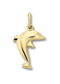 Kettenanh&auml;nger ONE ELEMENT "Delfin Anh&auml;nger aus 333 Gelbgold", gold, Schmuckanh&auml;nger, M&auml;dchen, Gelbgold 333 Gold, Gelbgold 333, Gold, Kettenanh&auml;nger, Pers&ouml;nlicher Akzent &ndash; schlicht, modern, aussagekr&auml;ftig