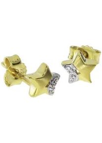 Paar Ohrstecker OSTSEE-SCHMUCK "- Stern - Gold 333/000 - Zirkonia" Gr. 6, gold (gold 333, goldfarben, gelb), Ohrringe, Damen, Gelbgold 333