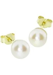 Paar Ohrstecker OSTSEE-SCHMUCK "- Klassisch 8 mm - Gold 333/000 - Wachsperle" Gr. 8, gold (gold 333, goldfarben, gelb), Ohrringe, Damen, Gelbgold 333