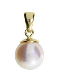 Kettenanh&auml;nger OSTSEE-SCHMUCK "- Ingrid 7 - Gold 585/000 - Zuchtperle" Gr. 15, gold (gold 585, goldfarben, gelb), Schmuckanh&auml;nger, Damen, Gelbgold 585, Kettenanh&auml;nger