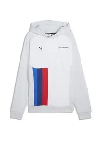 Sweatjacke Puma "BMW M MOTORSPORT PumaTECH-X Hoodie Herren", Herren, Gr. L, silber mist gray, Obermaterial: 33% Polyester, 67% Baumwolle; Kapuzenfutter: 67% Baumwolle, 33% Polyester; Rippe: 97% Baumwolle, 3% Elasthan, Sweatjacken Sweatjacke
