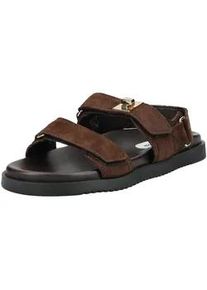 Riemchensandale Steve Madden "Steve Madden Sandalen Veloursleder", Damen, Gr. 37, dunkelbraun, Veloursleder, Schuhe Riemchensandale