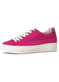 Sneaker Gabor "Sneaker low", Damen, Gr. 35,5, pink, Schuhe Sneaker