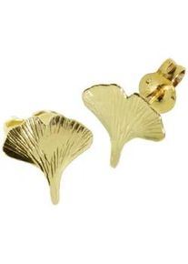 Paar Ohrstecker OSTSEE-SCHMUCK "- Ginkgoblatt - Gold 333/000 -" Gr. 10, gold (gold 333, goldfarben, gelb), Ohrringe, Damen, Gelbgold 333