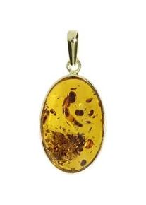 Kettenanh&auml;nger OSTSEE-SCHMUCK "- Classic 24x16 - Gold 333/000 - Bernstein" Gr. 36, gold (gold 333, goldfarben, gelb), Schmuckanh&auml;nger, Damen, Gelbgold 333, Kettenanh&auml;nger